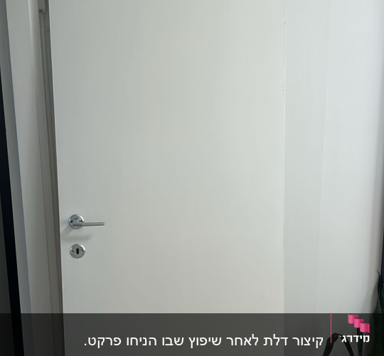 דלת לבנה עם ידית כסופה ליד עציץ